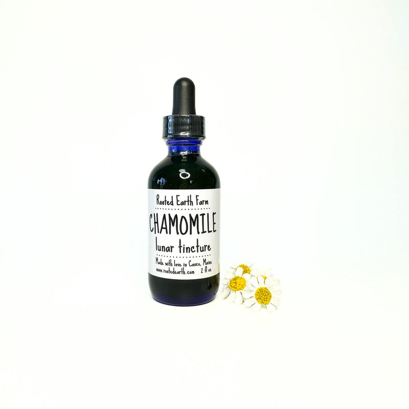 Rooted Earth Farm + Apothecary Chamomile Tincture Tinctures + Capsules Snow 1 oz,2 oz