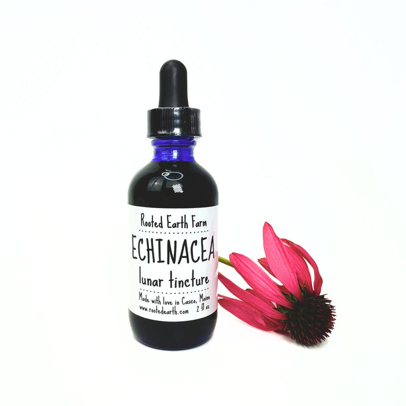 Rooted Earth Farm + Apothecary Echinacea Tincture Tinctures + Capsules Dark Slate Gray 2 oz