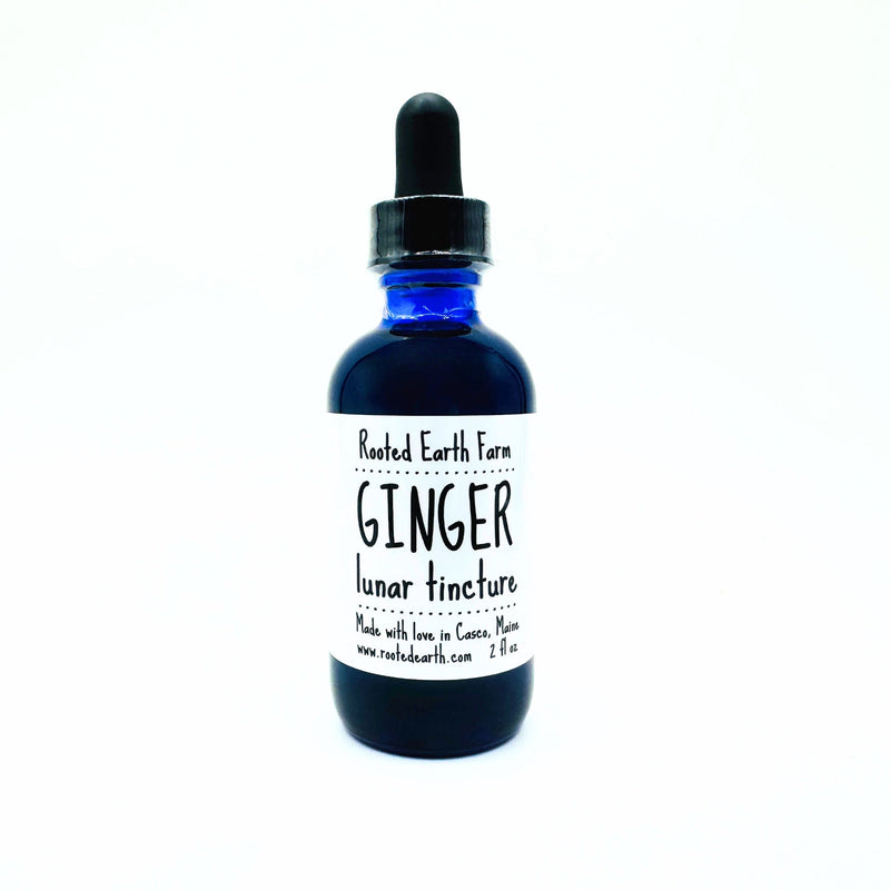 Rooted Earth Farm + Apothecary Ginger Tincture Tinctures + Capsules White Smoke 1 oz,2 oz