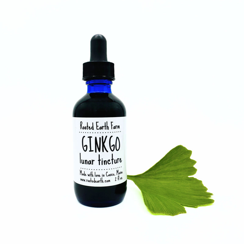 Rooted Earth Farm + Apothecary Ginkgo Tincture Tinctures + Capsules White Smoke 2 oz
