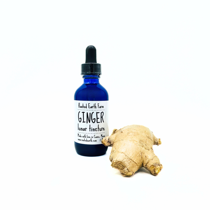 Rooted Earth Farm + Apothecary Ginger Tincture Tinctures + Capsules White Smoke 1 oz,2 oz