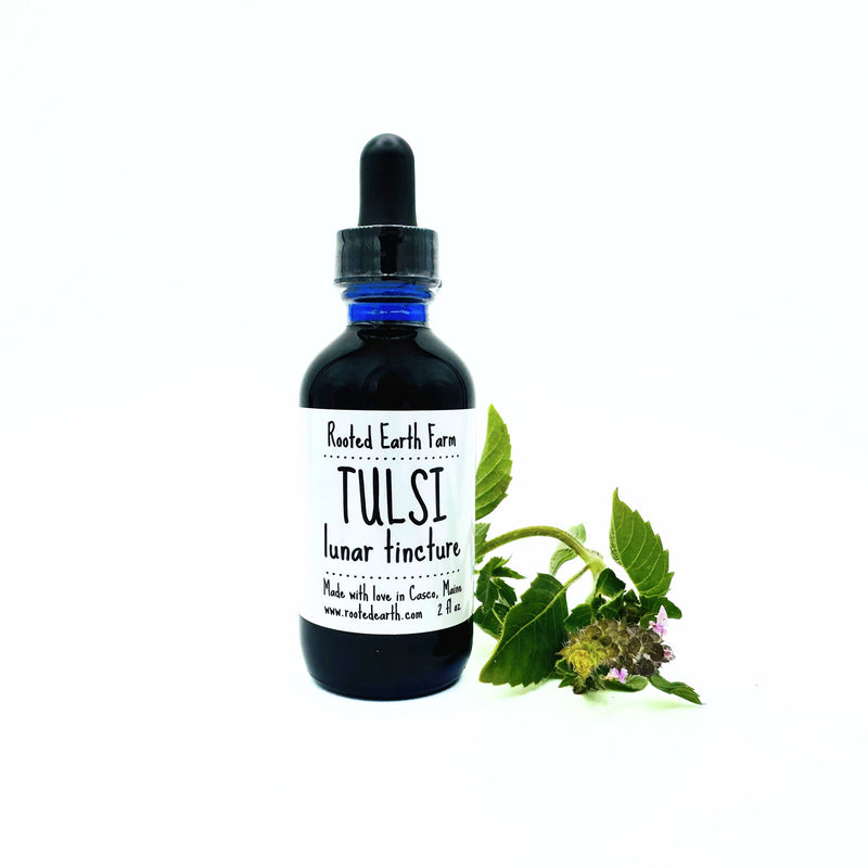Rooted Earth Farm + Apothecary Tulsi (Holy Basil) Tincture Tinctures + Capsules White Smoke 2 oz