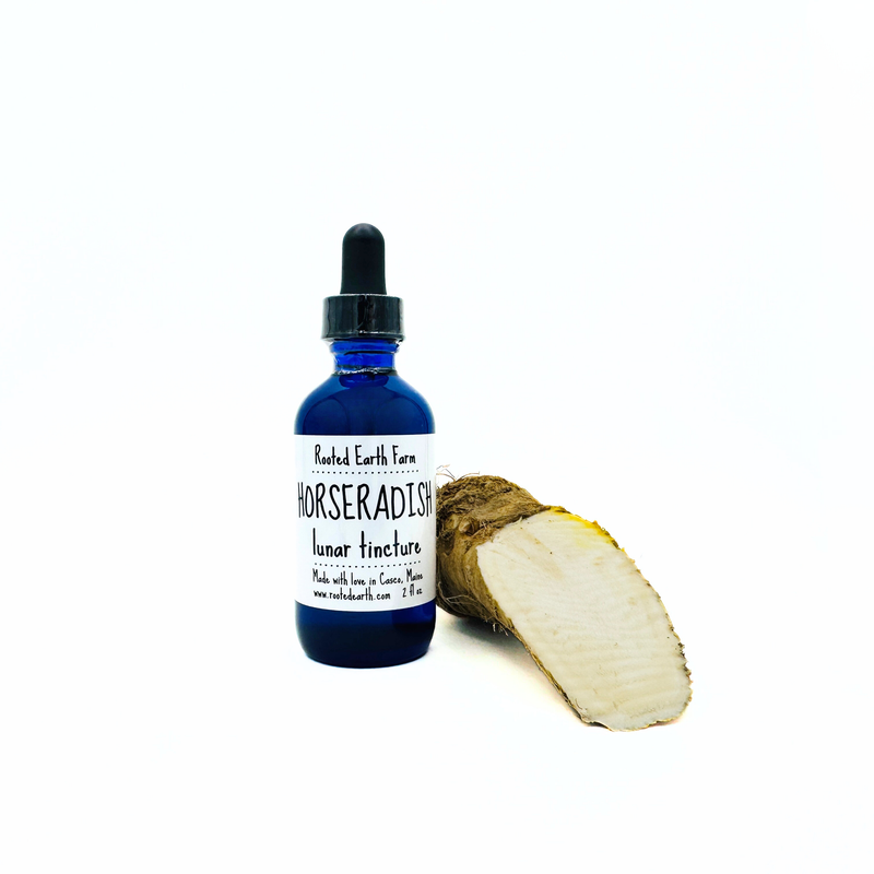 Rooted Earth Farm + Apothecary Horseradish Tincture Tinctures + Capsules White Smoke 1 oz,2 oz