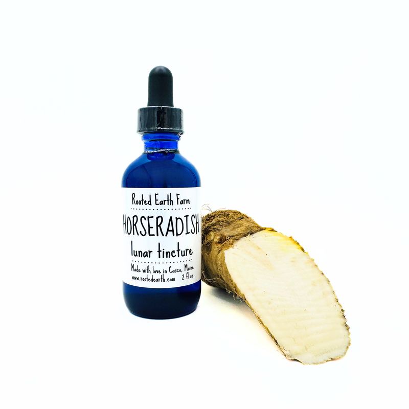 Rooted Earth Farm + Apothecary Horseradish Tincture Tinctures + Capsules White Smoke 2 oz