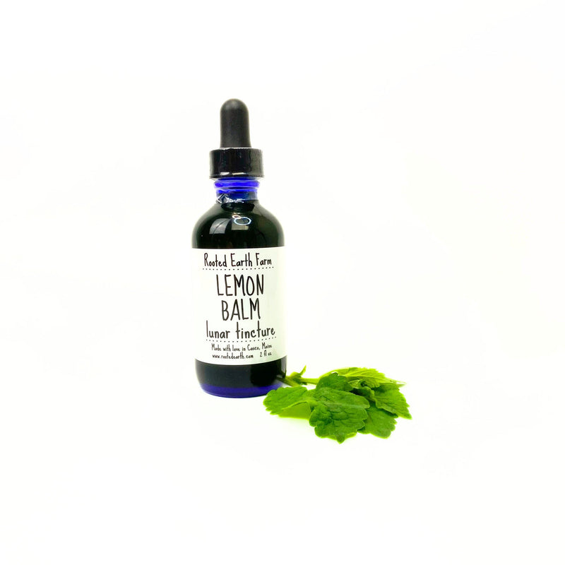 Rooted Earth Farm + Apothecary Lemon Balm Tincture Tinctures + Capsules White Smoke 2 oz