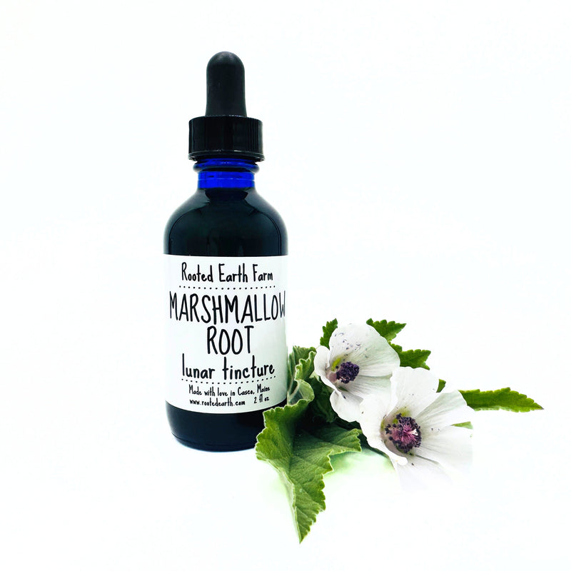 Rooted Earth Farm + Apothecary Marshmallow Root Tincture Tinctures + Capsules White Smoke 2 oz