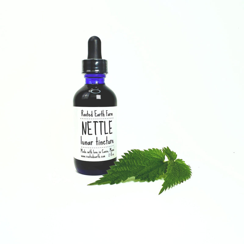 Rooted Earth Farm + Apothecary Nettle Tincture Tinctures + Capsules White Smoke 2 oz