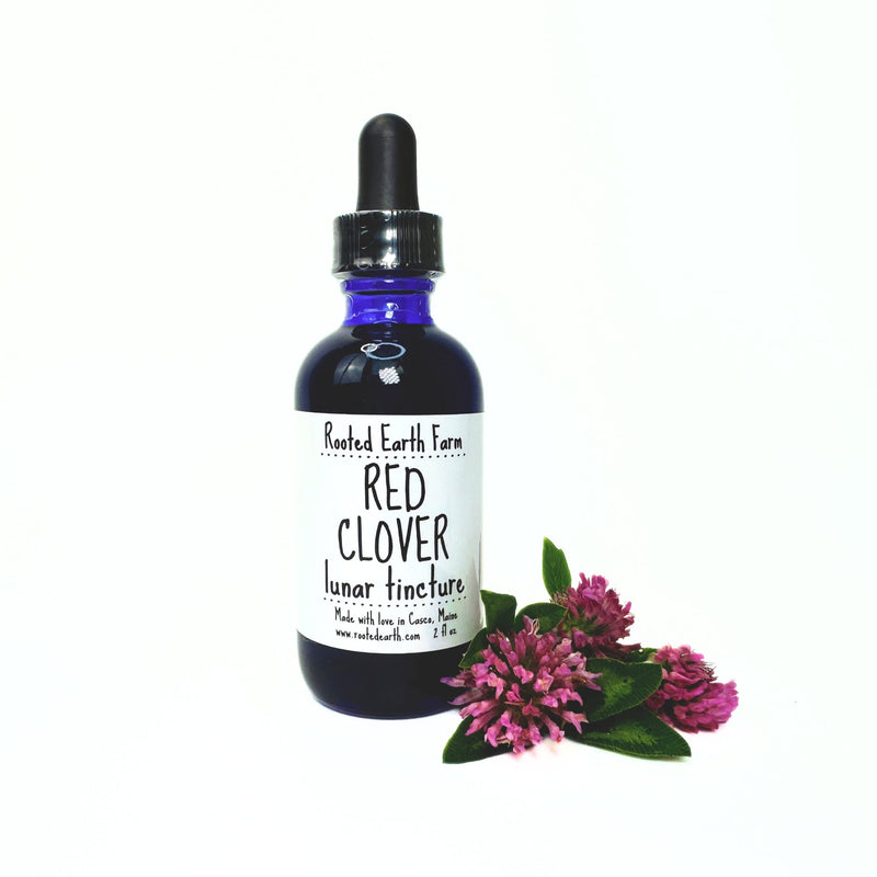 Rooted Earth Farm + Apothecary Red Clover Tincture Tinctures + Capsules White Smoke 2 oz