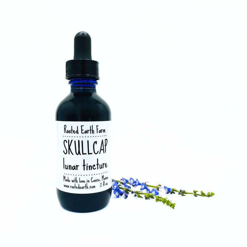 Rooted Earth Farm + Apothecary Skullcap Tincture Tinctures + Capsules White Smoke 2 oz