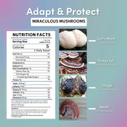 Teeccino Miraculous Mushrooms® Adapt & Protect Instant Herbal Coffee Instant Coffee Dark Gray Instant