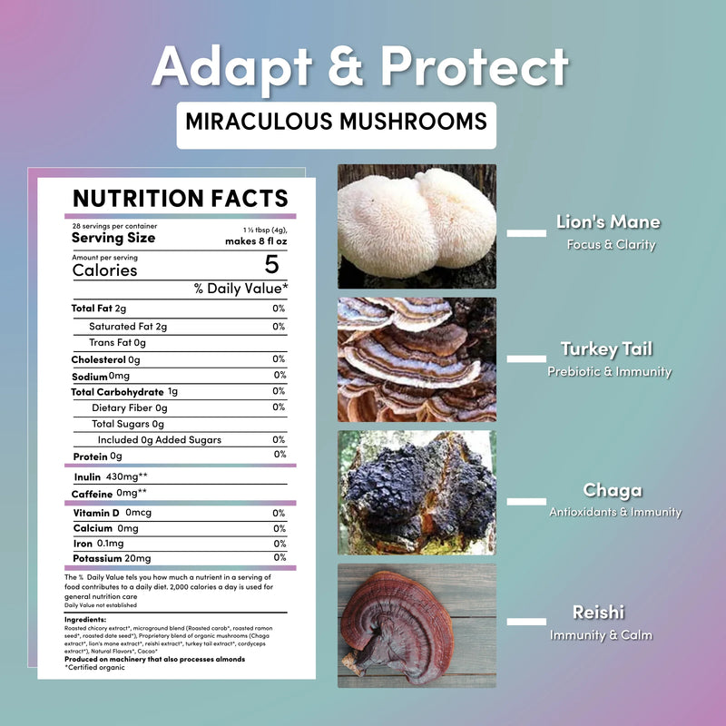 Teeccino Miraculous Mushrooms® Adapt & Protect Instant Herbal Coffee Instant Coffee Dark Gray Instant