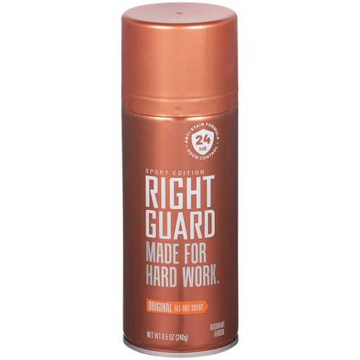 Right Guard Right Guard Deodorant Aerosol, Original All Day Scent 8.5 Oz Deodorant Saddle Brown