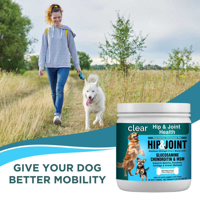 Clear Wellness 360 Clear Hip & Joint Health for Dogs White Smoke 3 Pack,1 Bottle,6 Pack