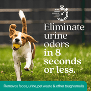 EcoStrong Outdoor Odor Eliminator Pet & Animal > Outdoor Odor Dark Slate Gray 1 Gallon Jug and Multi Use Sprayer,1 Gallon Jug and Hose End Sprayer,1 Gallon Jug,32 oz Sprayer Bottle and 1 Gallon Refill,32 oz Sprayer Bottle,10 x 2 oz Shots and Sprayer Bottle,5 Gallon Pail