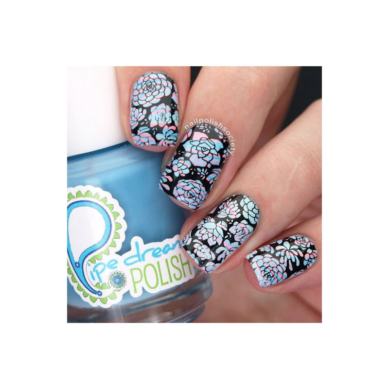 UberChic Beauty Succulents Stamping Plate Gray