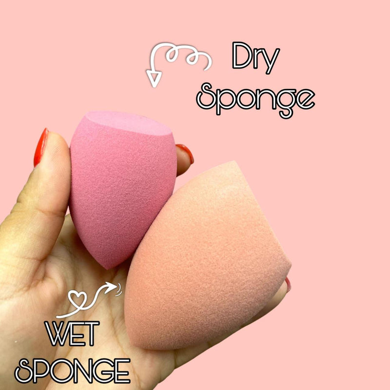 Prolux Cosmetics Blending Sponge Set Blending Sponge Pink