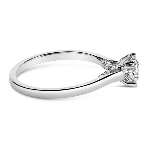 Bids.com 14K White Gold 7/8 Cttw Lab Grown Diamond Solitaire Cathedral Style Engagement Ring (F-G Color, VS1-VS2 Clarity) - Size 5 Rings White Smoke 5 / White.Gold,6 / White.Gold,8 / White.Gold,9 / White.Gold,10 / White.Gold,7 / White.Gold