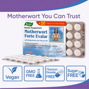 SiberianGreen.com Motherwort Forte Herb with Vitamins by Evalar 40 Tabs Herbs White Smoke