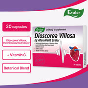 SiberianGreen.com Dioscorea Villosa Wild Yam Red Clover by Evalar Ateroklefit Herb 30 Caps Herbs White Smoke