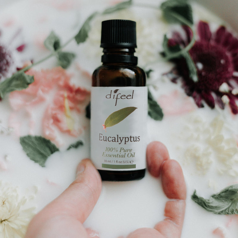 Difeel Difeel Essential Oils 100% Pure Eucalyptus Oil 1 Ounce Fragrance Oil Gray