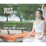 ZAQ Skin & Body Infrared PEMF Travel Mat Dim Gray