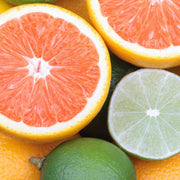 Lather and More! Grapefruit and Bergamot Natural Deodorant deodorant Sandy Brown
