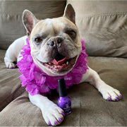 Warren London Dog Nail Polish - Polish Bottles with Brush Dog Nail Polish Dim Gray Pawfectly Pink,Violet The Dogs Out Purple,Fire Hydrant Red,Bow Wow Blue,Pink Of The Glitter Sparkle Pink,Diamond In the Ruff Sparkle Silver,Set of All Six Colors