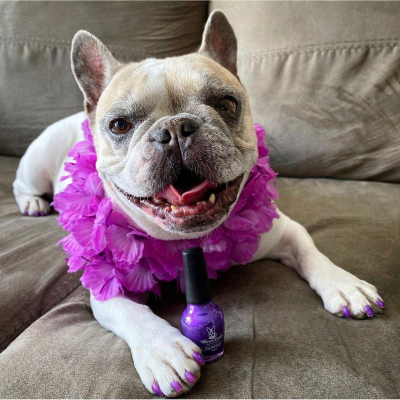 Warren London Dog Nail Polish - Polish Bottles with Brush Dog Nail Polish Dim Gray Pawfectly Pink,Violet The Dogs Out Purple,Fire Hydrant Red,Bow Wow Blue,Pink Of The Glitter Sparkle Pink,Diamond In the Ruff Sparkle Silver,Set of All Six Colors