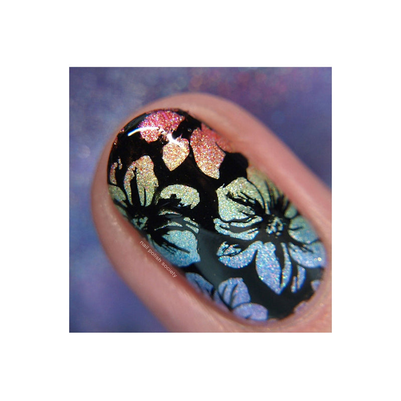 UberChic Beauty Collection 15 Stamping Plate Dark Slate Gray
