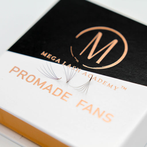 Mega Lash Academy 5D Promade Loose Fans - 500 Fans Promade Fans Beige 0.07 / C / 8,0.07 / C / 9,0.07 / C / 10,0.07 / C / 11,0.07 / C / 12,0.07 / C / 13,0.07 / C / 14,0.07 / C / 15,0.07 / CC / 8,0.07 / CC / 9,0.07 / CC / 10,0.07 / CC / 11,0.07 / CC / 12,0.07 / CC / 13,0.07 / CC / 14,0.07 / CC / 15,0.07 / D / 8,0.07 / D / 9,0
