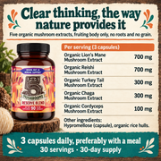 Hippie Farms Premium Immunity, Gut Health, and Brain Cognition Formula - 5 Mushrooms Reserve Blend Vitamins & Supplements Seashell
