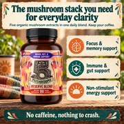 Hippie Farms Premium Immunity, Gut Health, and Brain Cognition Formula - 5 Mushrooms Reserve Blend Vitamins & Supplements Antique White