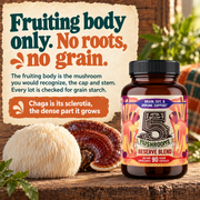 Hippie Farms Premium Immunity, Gut Health, and Brain Cognition Formula - 5 Mushrooms Reserve Blend Vitamins & Supplements Bisque