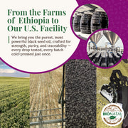 Bionatal Ethiopian Black Seed Oil 5oz (GLASS) Black Seed Oil White Smoke
