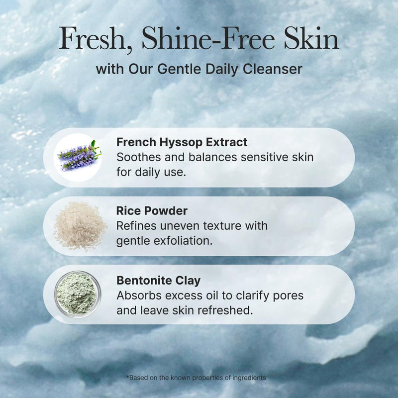 AsiaBeautyMall Arencia Fresh Blue Hyssop Rice Mochi Cleanser Face Cleanser Light Gray