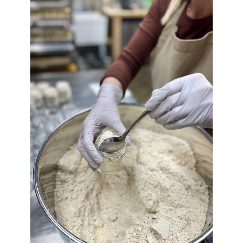MION Artisan Soap Co. Calendula Scalp Scrub | Revitalizing & Nourishing Dark Gray