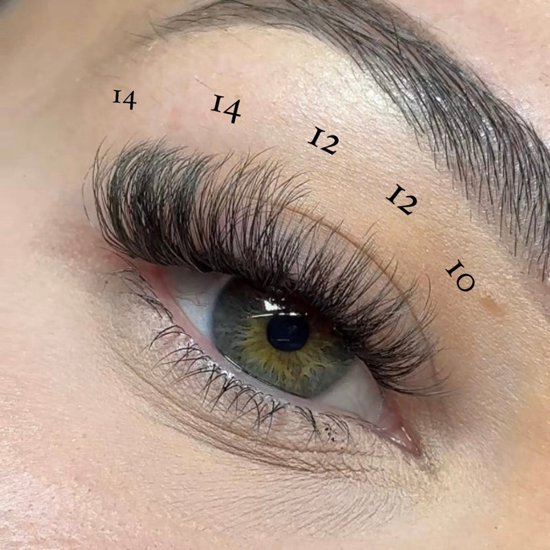 Pink Purée Angel Baby Multi-pack DIY Lashes Tan