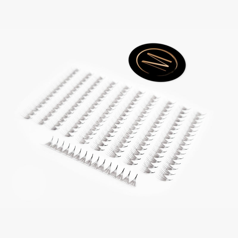 Mega Lash Academy 6D Mix Rapid Promade Fans® - 1000 Fans Promade Fans White Smoke 0.07 / C / Mixed 8-9-10-11 mm,0.07 / C / Mixed 12-13-14-15 mm,0.07 / CC / Mixed 8-9-10-11 mm,0.07 / CC / Mixed 12-13-14-15 mm,0.07 / D / Mixed 8-9-10-11 mm,0.07 / D / Mixed 12-13-14-15 mm