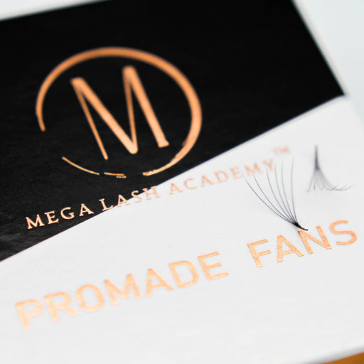Mega Lash Academy 6D Promade Loose Fans - 500 Fans Promade Fans Beige 0.07 / C / 8,0.07 / C / 9,0.07 / C / 10,0.07 / C / 11,0.07 / C / 12,0.07 / C / 13,0.07 / C / 14,0.07 / C / 15,0.07 / CC / 8,0.07 / CC / 9,0.07 / CC / 10,0.07 / CC / 11,0.07 / CC / 12,0.07 / CC / 13,0.07 / CC / 14,0.07 / CC / 15,0.07 / D / 8,0.07 / D / 9,0