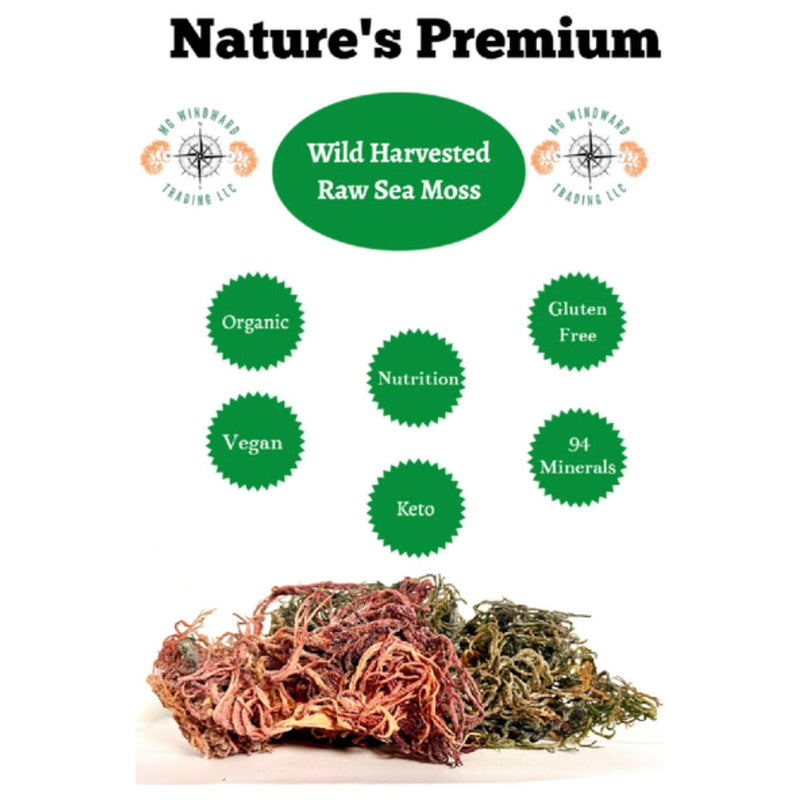 MG Windward Trading LLC Pure Certified Wild Harvested Full Spectrum Organic Raw Sea Moss Raw Sea Moss White Smoke 16oz,8oz,4oz