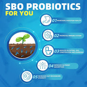 Nature Target SBO Probiotics with Prebiotic Fiber, 60B CFUs, 90 Vegan Caps Probiotic Steel Blue