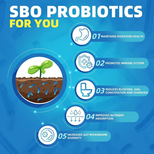 Nature Target SBO Probiotics with Prebiotic Fiber, 60B CFUs, 90 Vegan Caps Probiotic Steel Blue