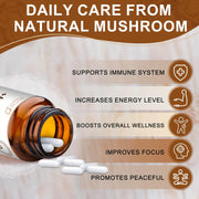 Nature Target 14-IN-1 Mushroom Complex with Lion's Mane, 120 Capsules Mushroom Light Gray