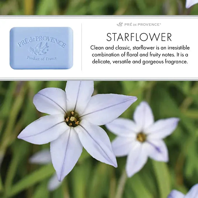 Pre De Provence Pre De Provence Starflower Shea Butter Enriched Vegetable Soap 150g Bar Soap Dark Olive Green