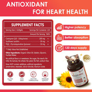 Nature Target CoQ10 + PQQ + Olive Oil, 200mg, 120 Softgels CoQ10 White Smoke