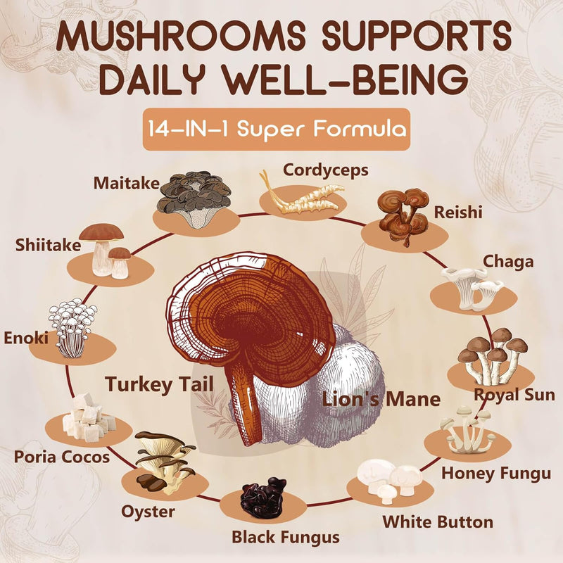 Nature Target 14-IN-1 Mushroom Complex with Lion's Mane, 120 Capsules Mushroom Light Gray