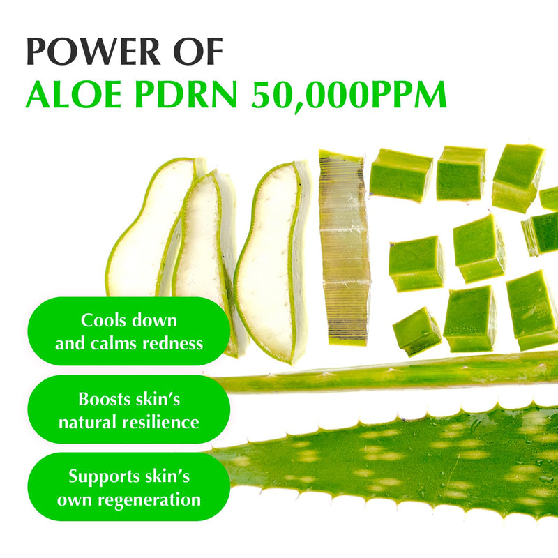 AsiaBeautyMall EQQUALBERRY Aloe PDRN Calming Serum Serum White Smoke