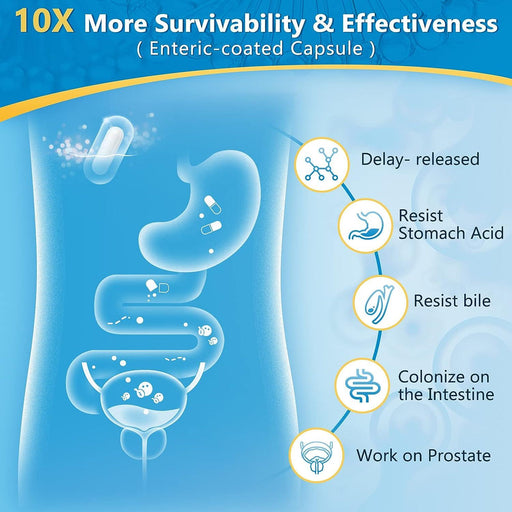 Nature Target 3-in-1 Digestive Health Probiotics, 100B CFUs, 90 Vegan Caps Probiotic Light Blue