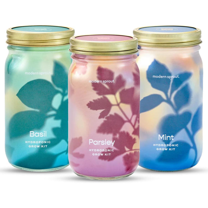 Modern Sprout Garden Jars - Organic Herbs Indoor Garden Kit White Smoke Lavender 1pk,Basil 1pk,Parsley 1pk,Mint 1pk,Rosemary 1pk,Cilantro 1pk,Basil+Parsley+Mint+Rosemary+Cilantro+Lavender 6pk,Basil+Parsley+Mint+Rosemary+Lavender 5pk,Basil+Mint 2pk,Basil+Parsley 2pk,Basil+Rosemary 2pk,Basil+Cilantro 2pk,Lavender+Rosemary 2pk,B