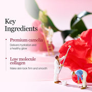 AsiaBeautyMall Round Lab Camellia Deep Collagen Firming Gel Mask Face Mask White Smoke